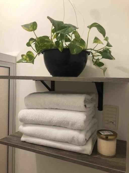 Comfortable And Private House 2 Bedrooms Wifi Parking Free Monterrey Bagian luar foto
